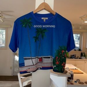 Zara Crop top, size small